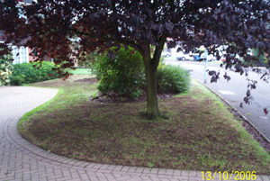 lawn treatment garden before
