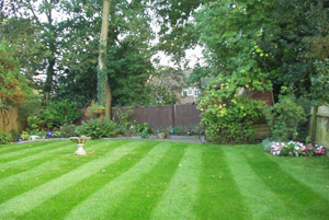your garden after The Grass Company treatment